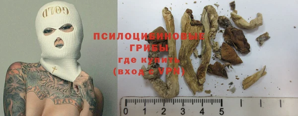 прущие крисы Алексеевка