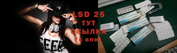 спиды Алзамай