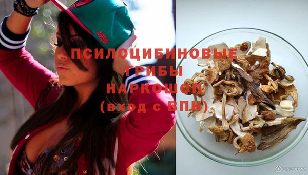 ГАЛЛЮЦИНОГЕННЫЕ ГРИБЫ Дмитриев