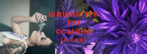 спиды Алзамай