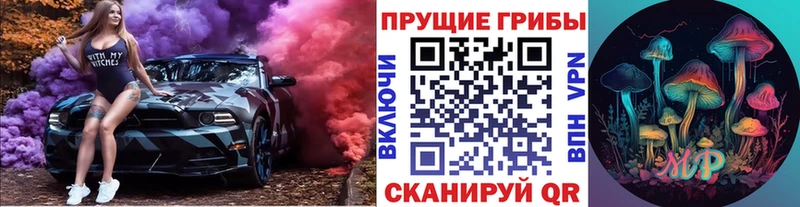 где купить   Углич  Галлюциногенные грибы Psilocybe 