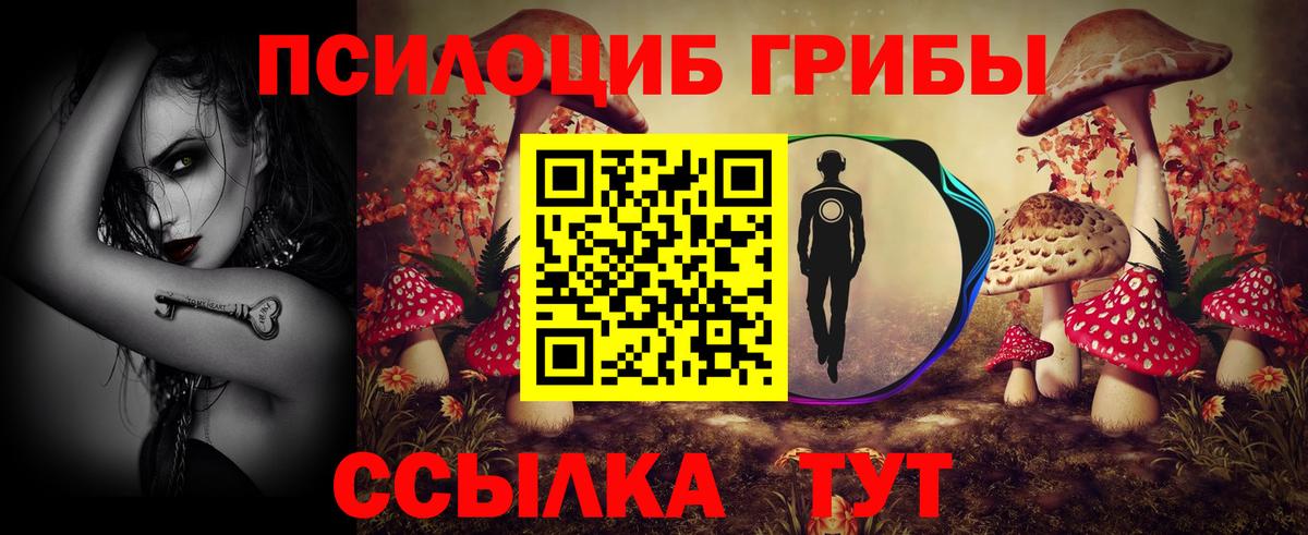 Углич  Галлюциногенные грибы ЛСД  Вход с VPN 